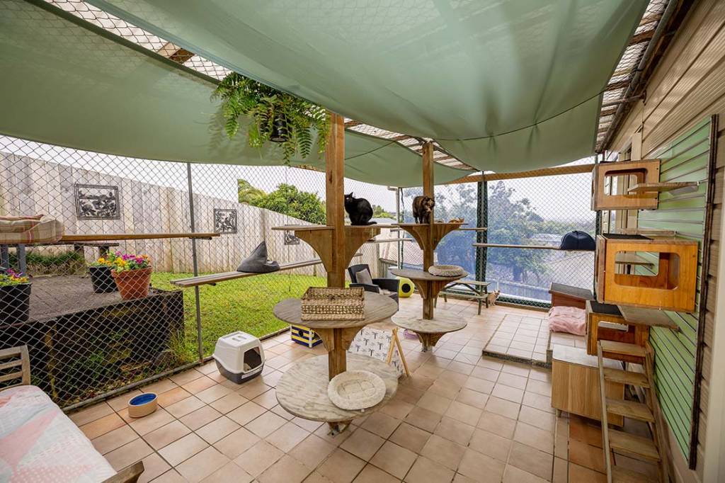 Outdoor area at our Auckland cattery